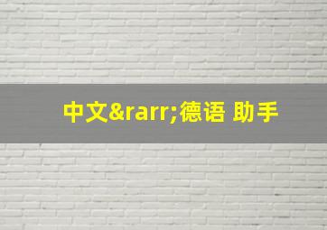 中文→德语 助手